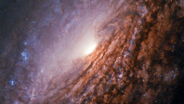 Galáxia espiral NGC 5033, localizada a 40 milhões de anos-luz da constelação Canes Venatici (ou Cães de Caça) - Sputnik Brasil