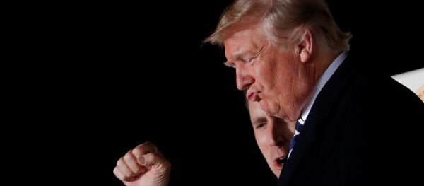Presidente dos EUA, Donald Trump, durante comício de campanha no Aeroporto Regional de Columbia (COU), no estado norte-americano de Missouri, em 1 de novembro de 2018 - Sputnik Brasil