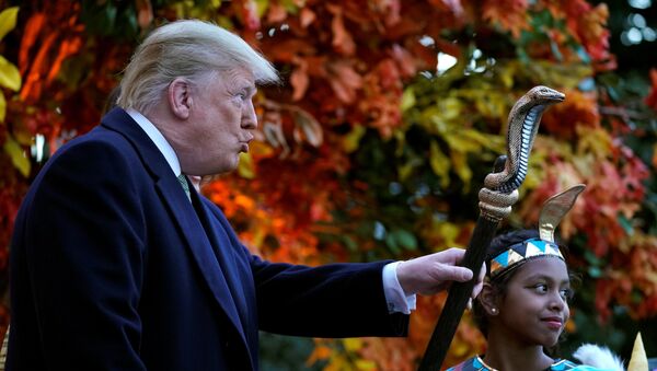 Presidente dos EUA, Donald Trump, celebra Halloween na Casa Branca, 30 de outubro de 2018 - Sputnik Brasil