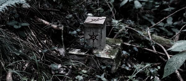 Um lugar misterioso na capital japonesa, Tóquio - Sputnik Brasil