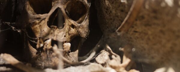 Ossadas de seres humanos - Sputnik Brasil