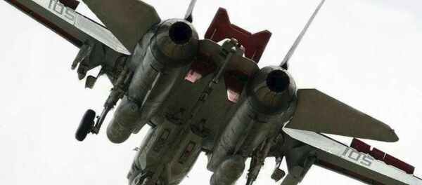 F-14 - Sputnik Brasil