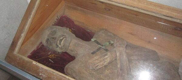 Múmia de Franz Xaver Sydler von Rosenegg - Sputnik Brasil