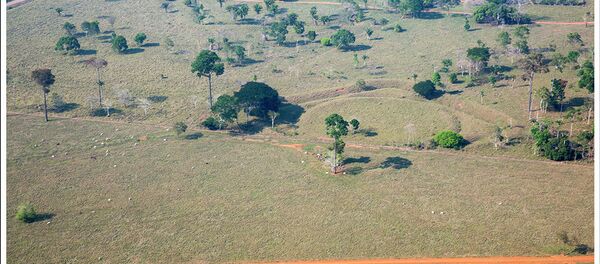 Geoglifo de mais de 2 mil anos, no estado do Acre, Brasil - Sputnik Brasil