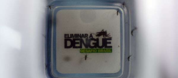 Número de infectados por dengue no Brasil no início de 2015 é 148% maior do que o registrado nos primeiros meses de 2014 Número de infectados por dengue no Brasil no início de 2015 é 148% maior do que o registrado nos primeiros meses de 2014 - Sputnik Brasil