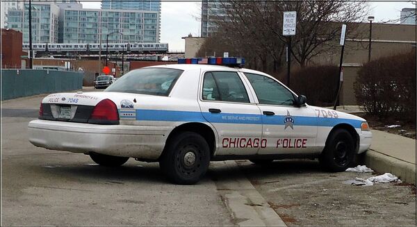 Cidade norte-americana ganha título de 'mais infestada por ratos' pelo 6º ano consecutivo Cidade norte-americana ganha título de 'mais infestada por ratos' pelo 6º ano consecutivo - Sputnik Brasil