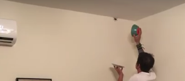 História arrepiante sobre 3 homens que tentam capturar aranha - Sputnik Brasil