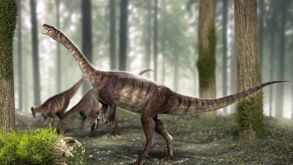 Dinossauro de pescoço longo mais antigo do mundo é achado no Brasil - Sputnik Brasil