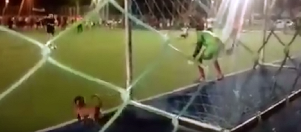 Melhor goleiro: cachorro faz defesa espetacular de pênalti no Brasil - Sputnik Brasil
