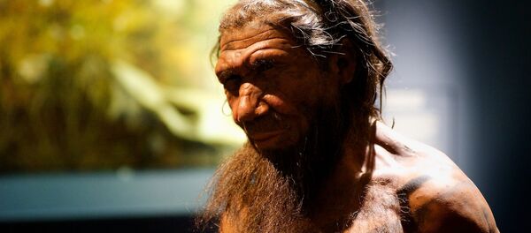 Um neandertal (imagem referencial) - Sputnik Brasil