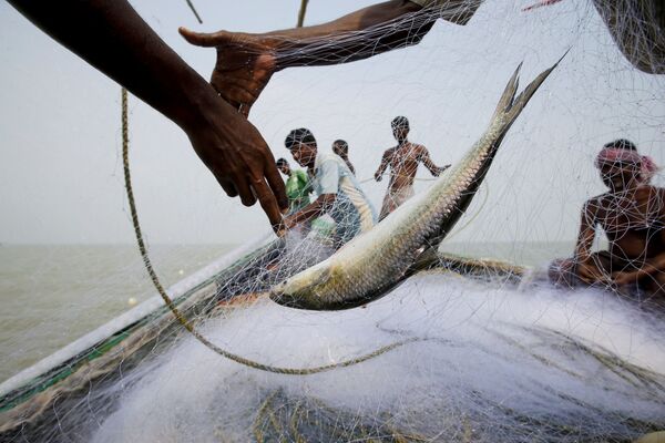 Homens pescando na ilha de Ghoramara. - Sputnik Brasil