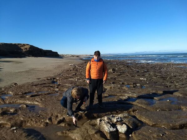 Família Palavecino, de Miramar, que encontrou na costa argentina fósseis de bicho-preguiça extinto Scelidotherium - Sputnik Brasil