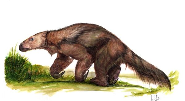 Bicho-preguiça gigantesco (imagem referencial) - Sputnik Brasil