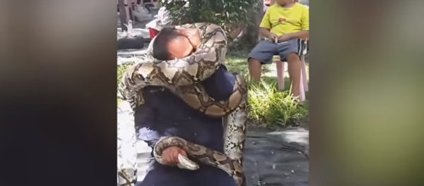 Píton sufoca bombeiro para demonstração de segurança - Sputnik Brasil