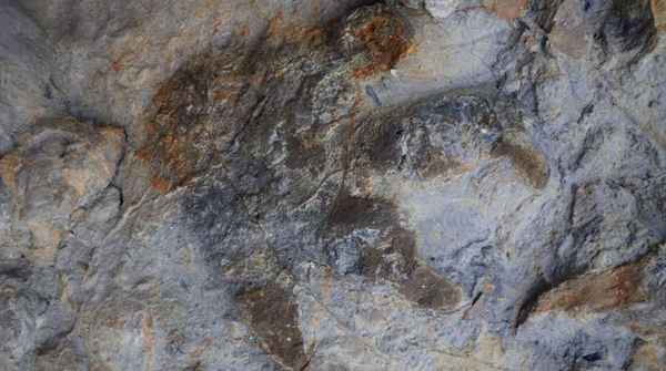 Pegadas de dinossauros encontradas na Inglaterra - Sputnik Brasil