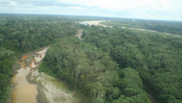 Amazônia, República do Peru - Sputnik Brasil