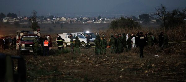 Equipes de resgate trabalham no local da queda do helicóptero em que viajava a governadora de Puebla, Martha Erika Alonso, e o ex-governador e senador do mesmo estado central do México, Rafael Moreno Valle, 24 de dezembro de 2018 - Sputnik Brasil