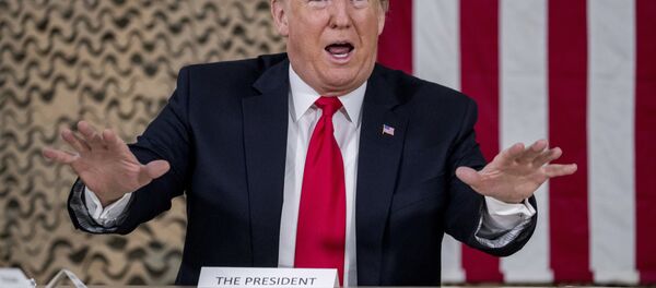 O presidente dos EUA, Donald Trump, discursa durante visita às tropas norte-americanas no Iraque. O presidente dos EUA, Donald Trump, discursa durante visita às tropas norte-americanas no Iraque. - Sputnik Brasil