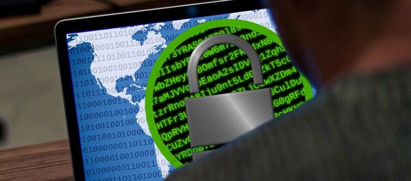 Hacker (imagen referencial) - Sputnik Brasil