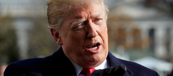 O presidente dos EUA, Donald Trump, fala à imprensa sobre o gramado sul da Casa Branca, em Washington. - Sputnik Brasil