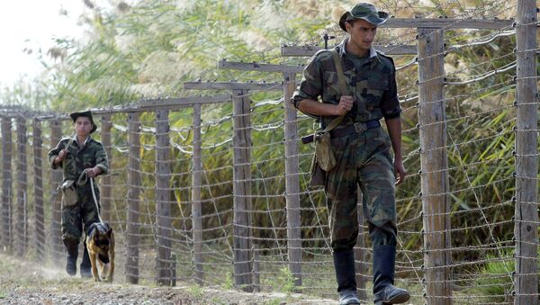 Fronteira entre Tajiquistão e Afeganistão. Guardas tajiques sequestrados pelo Talibã haviam entrado em território afegão para recolher lenha. - Sputnik Brasil