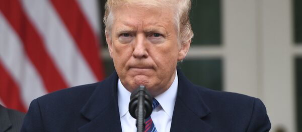 US President Donald Trump speaks at a press conference in the Rose Garden of the White House in Washington, DC, on January 4, 2019. - Sputnik Brasil