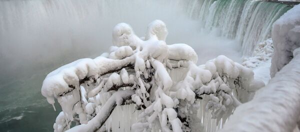 Visão das cataratas do Niágara congeladas no Canadá - Sputnik Brasil