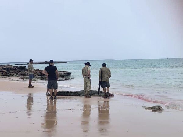 Crocodilo com a boca ensanguentada na praia de Cable Beach, Austrália - Sputnik Brasil