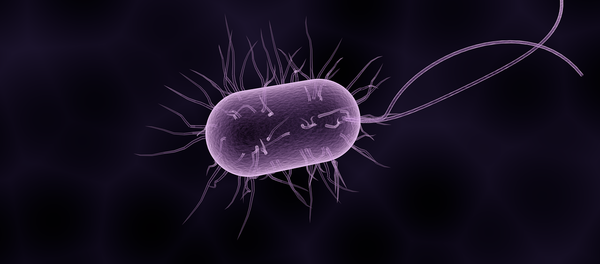 Bactéria (ilustração gráfica) - Sputnik Brasil