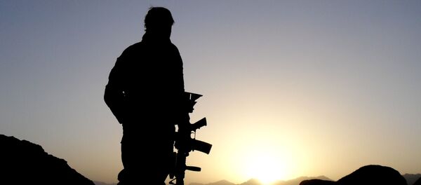 Serviço Aéreo Especial do Reino Unido - Sputnik Brasil