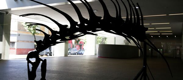 Dinossauro Bajadasaurus pronuspinax - Sputnik Brasil