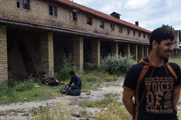 Refugiados na Sérvia perto da fronteira com a Hungria - Sputnik Brasil