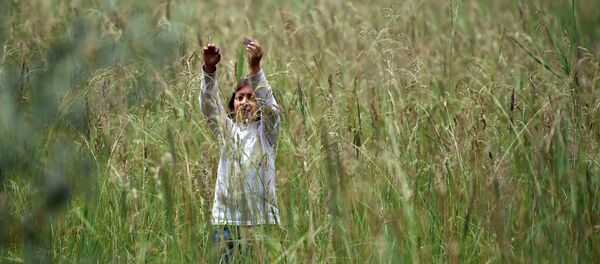 Uma menina afegã de uma família de refugiados que está agora perto da cidade de Subotica, na Sérvia - Sputnik Brasil