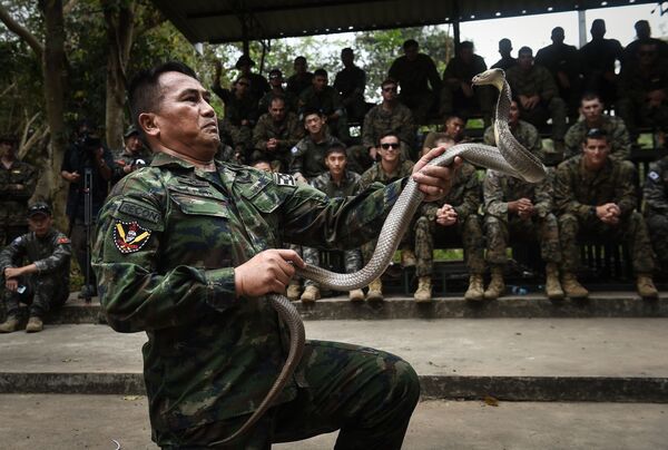 Militar tailandês maneja cobra durante as manobras multinacionais Cobra Gold na Tailândia - Sputnik Brasil