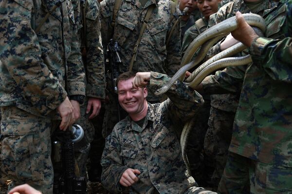 Fuzileiro naval dos EUA maneja cobras durante exercício militar - Sputnik Brasil