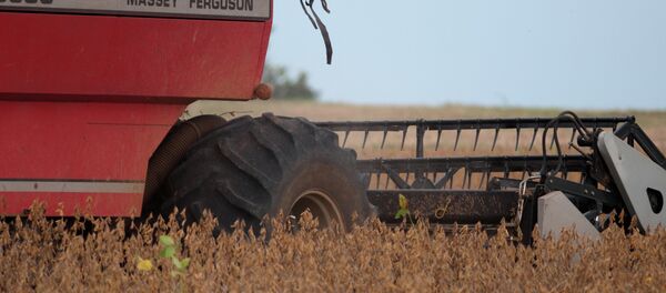 Colheitadeira em propriedade localizada no município de Morrinhos - Sputnik Brasil