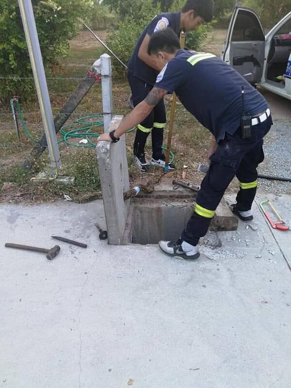 Píton entalada na Tailândia - Sputnik Brasil