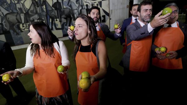 Parlamentares seguram laranjas no Congresso Nacional em Brasília em protesto contra presidente Jair Bolsonaro e contra o uso indevido de verba durante sua campanha eleitoral, 20 de fevereiro de 2019 - Sputnik Brasil
