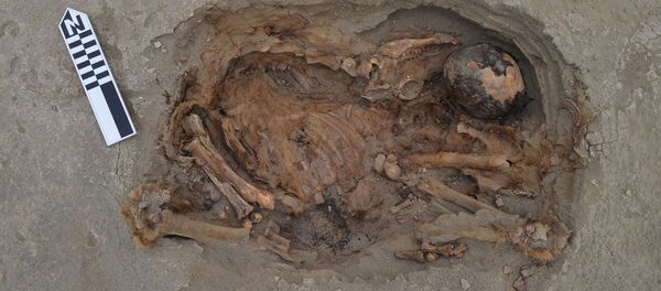 Esqueletos de criança e de espécies de camelídeos enterrados durante rituais de sacrifício no Peru, datado do século XV - Sputnik Brasil