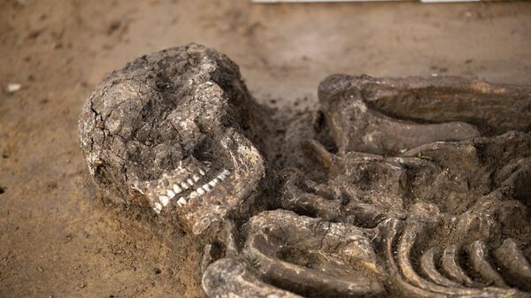 Esqueleto de 6,5 mil anos em uma cova em Kitzingen na Alemanha, 5 de março de 2019      - Sputnik Brasil