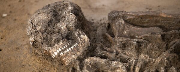 Esqueleto de 6,5 mil anos em uma cova em Kitzingen na Alemanha, 5 de março de 2019 - Sputnik Brasil