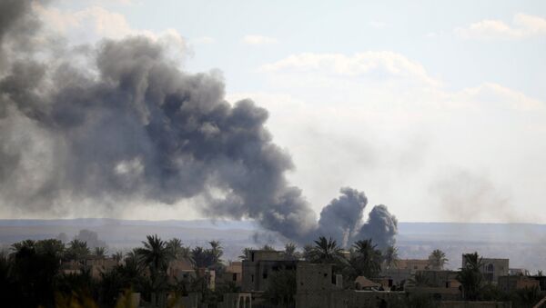 Fumaça se levanta na província síria de Deir ez-Zor após ataques aéreos da coalizão internacional liderada pelos EUA - Sputnik Brasil