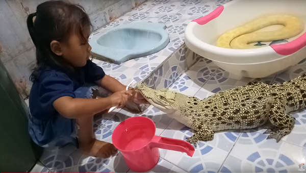 Garotinha escova dentes de crocodilo enquanto cobra espera sua vez - Sputnik Brasil