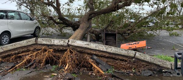Danos causados pelo ciclone tropical Idai, cidade moçambicana de Beira - Sputnik Brasil