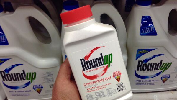 Roundup, famoso herbicida fabricado pela Monsanto e acusado de desenvolver câncer em milhares de pessoas ao redor do mundo. - Sputnik Brasil