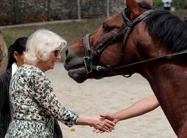 Camila, duquesa da Cornualha, visitando o Centro Nacional de Hipismo em Havana, Cuba - Sputnik Brasil