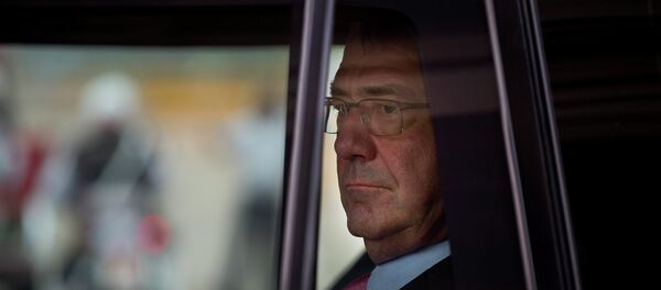 Ashton Carter, secretario de Defensa de EEUU - Sputnik Brasil