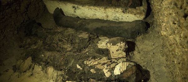 Múmias do Egito (imagem referencial) - Sputnik Brasil