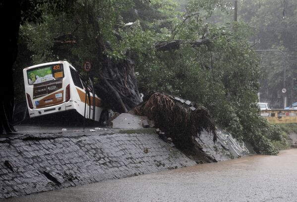 Ônibus é visto debaixo de árvores derrubadas por fortes chuvas - Sputnik Brasil