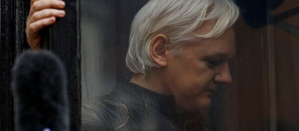 WikiLeaks founder Julian Assange is seen on the balcony of the Ecuadorian Embassy in London, Britain, May 19, 2017 - Sputnik Brasil